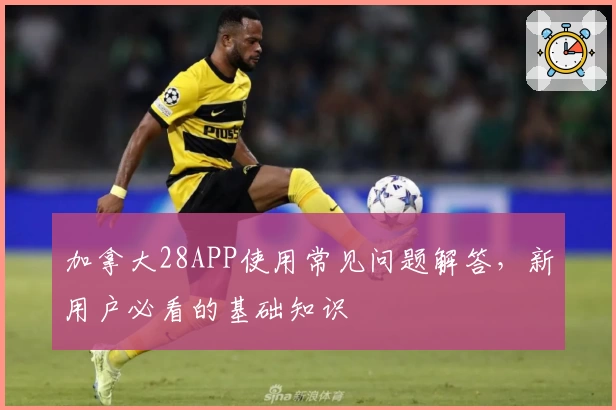 加拿大28APP使用常见问题解答，新用户必看的基础知识