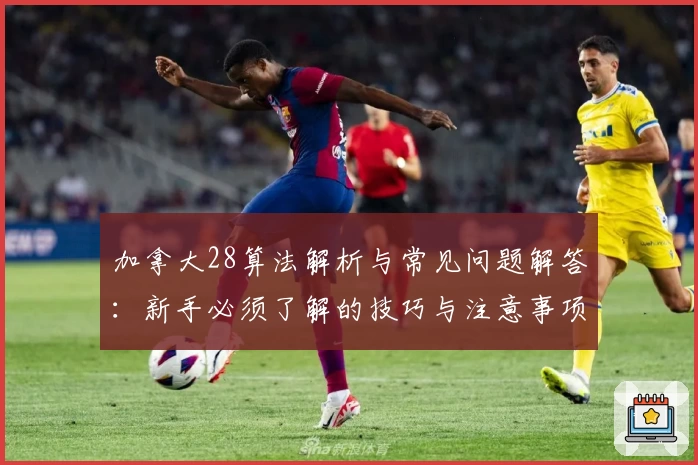 加拿大28算法解析与常见问题解答：新手必须了解的技巧与注意事项