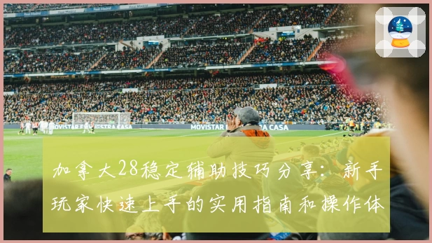 加拿大28稳定辅助技巧分享：新手玩家快速上手的实用指南和操作体验