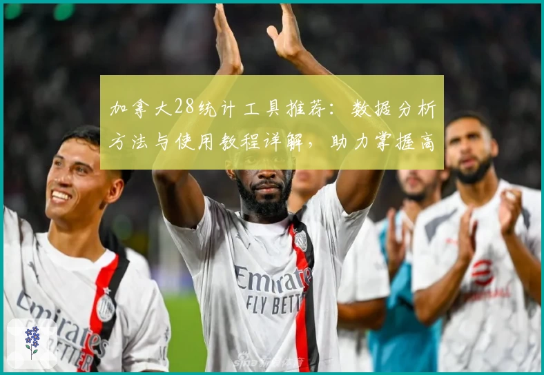 加拿大28统计工具推荐：数据分析方法与使用教程详解，助力掌握高手技巧