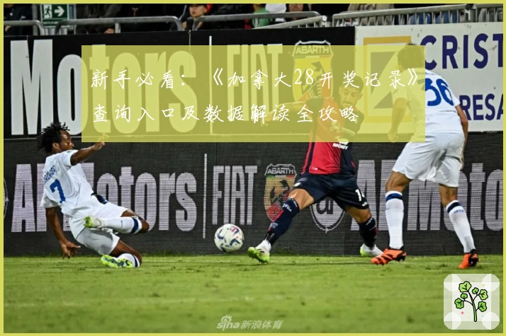 新手必看：《加拿大28开奖记录》查询入口及数据解读全攻略
