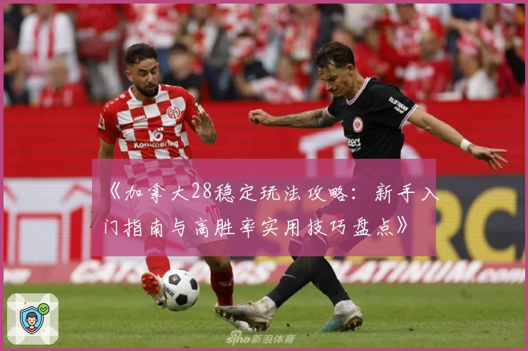 《加拿大28稳定玩法攻略:新手入门指南与高胜率实用技巧盘点》