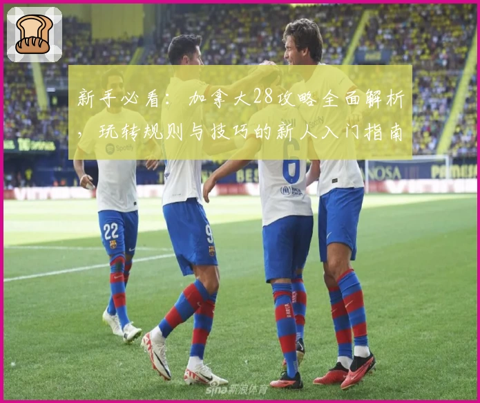 新手必看：加拿大28攻略全面解析，玩转规则与技巧的新人入门指南