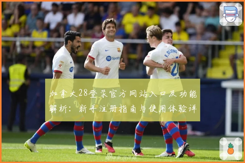 加拿大28登录官方网站入口及功能解析：新手注册指南与使用体验详解