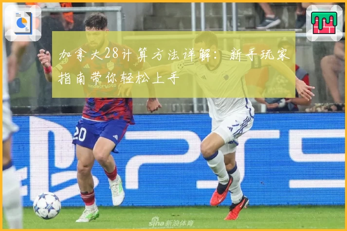 加拿大28计算方法详解：新手玩家指南带你轻松上手