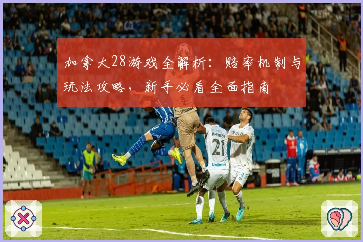 加拿大28游戏全解析：赔率机制与玩法攻略，新手必看全面指南