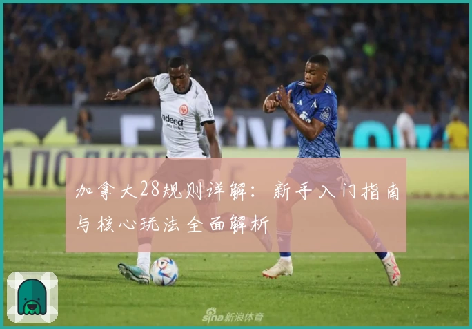 加拿大28规则详解:新手入门指南与核心玩法全面解析