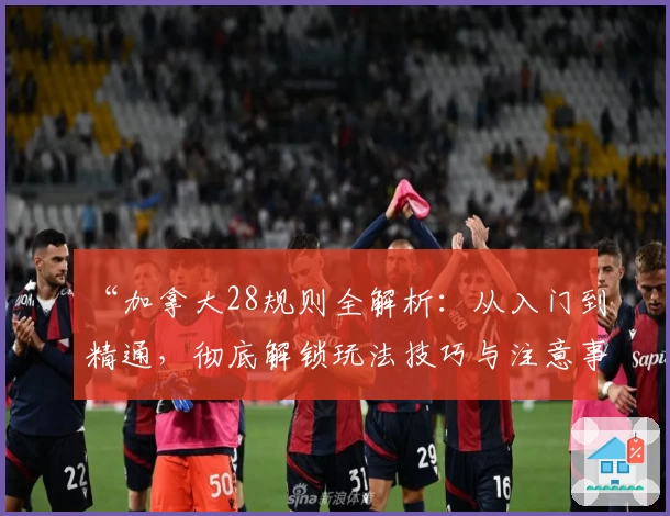 “加拿大28规则全解析：从入门到精通，彻底解锁玩法技巧与注意事项”