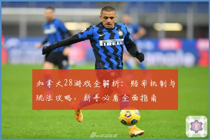 加拿大28游戏全解析：赔率机制与玩法攻略，新手必看全面指南