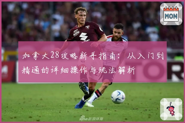 加拿大28攻略新手指南：从入门到精通的详细操作与玩法解析