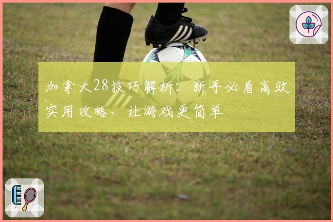 加拿大28技巧解析：新手必看高效实用攻略，让游戏更简单