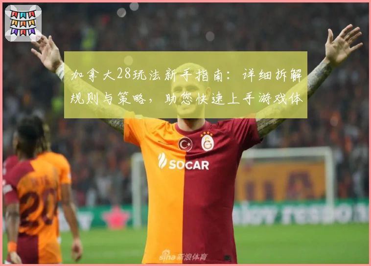 加拿大28玩法新手指南：详细拆解规则与策略，助您快速上手游戏体验