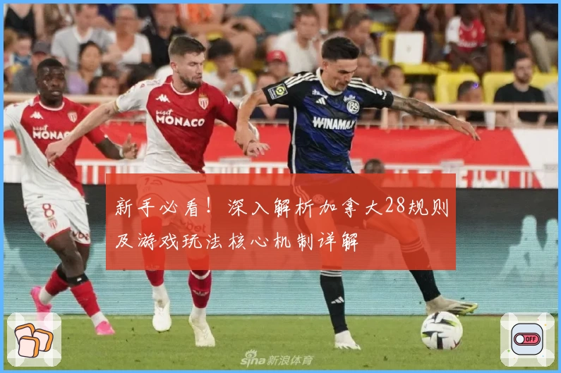 新手必看！深入解析加拿大28规则及游戏玩法核心机制详解