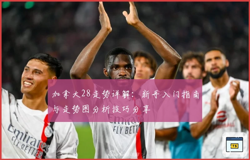 加拿大28走势详解:新手入门指南与走势图分析技巧分享