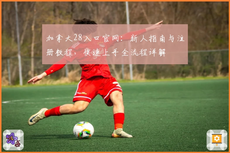 加拿大28入口官网：新人指南与注册教程，快速上手全流程详解