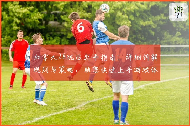 加拿大28玩法新手指南：详细拆解规则与策略，助您快速上手游戏体验