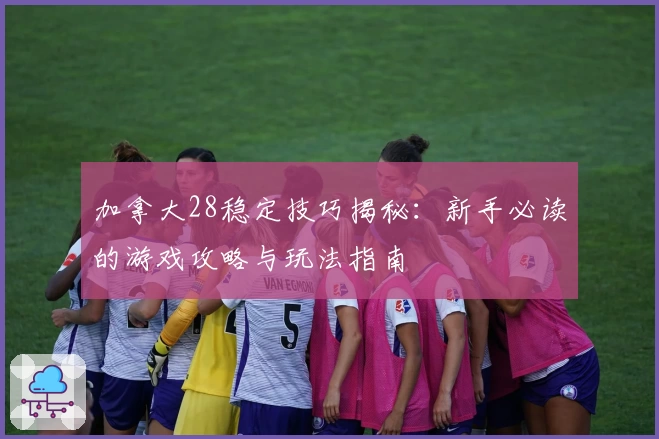 加拿大28稳定技巧揭秘：新手必读的游戏攻略与玩法指南