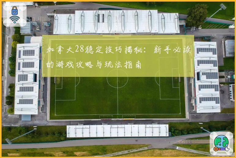加拿大28稳定技巧揭秘：新手必读的游戏攻略与玩法指南