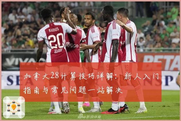 加拿大28计算技巧详解：新人入门指南与常见问题一站解决