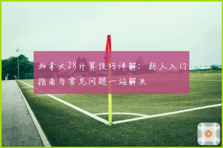 加拿大28计算技巧详解：新人入门指南与常见问题一站解决