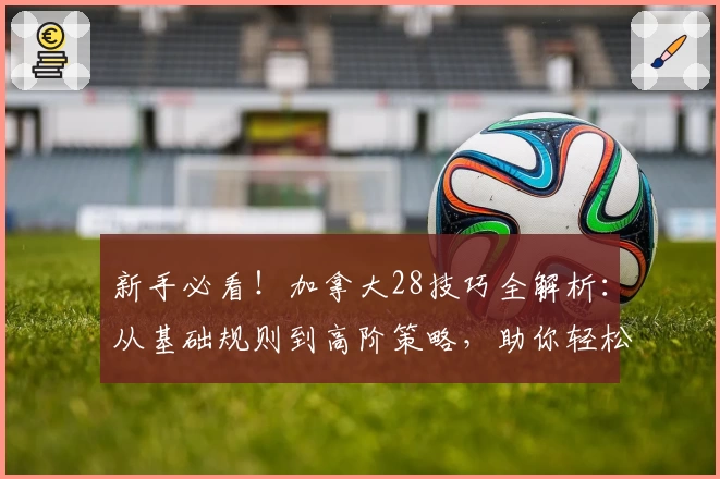 新手必看！加拿大28技巧全解析：从基础规则到高阶策略，助你轻松上手