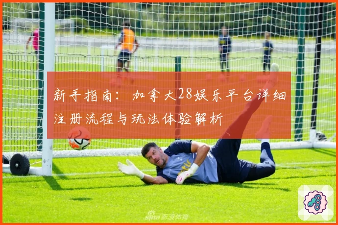 新手指南：加拿大28娱乐平台详细注册流程与玩法体验解析