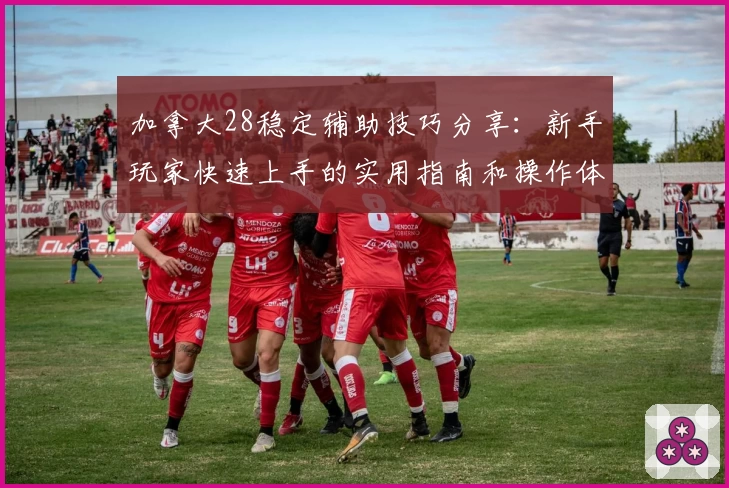 加拿大28稳定辅助技巧分享：新手玩家快速上手的实用指南和操作体验