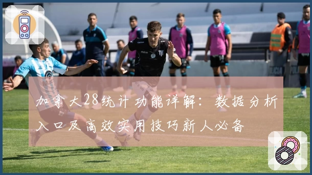 加拿大28统计功能详解：数据分析入口及高效实用技巧新人必备