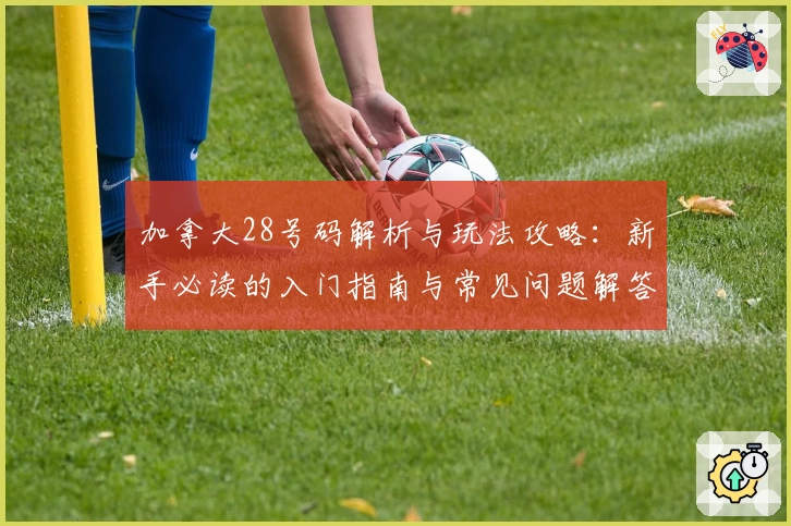 加拿大28号码解析与玩法攻略:新手必读的入门指南与常见问题解答