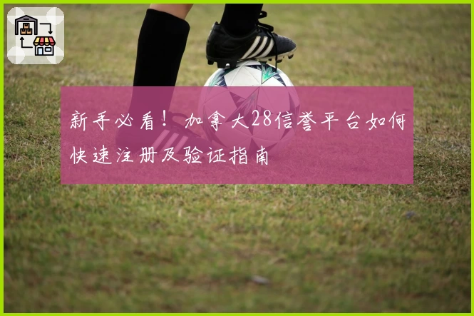 新手必看!加拿大28信誉平台如何快速注册及验证指南