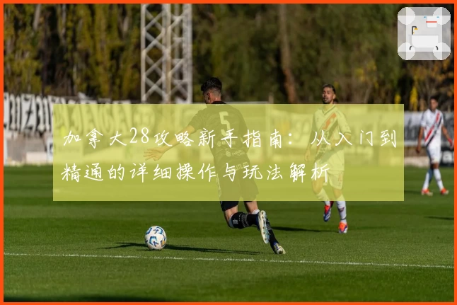 加拿大28攻略新手指南：从入门到精通的详细操作与玩法解析