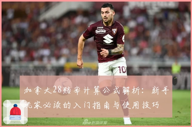 加拿大28赔率计算公式解析：新手玩家必读的入门指南与使用技巧