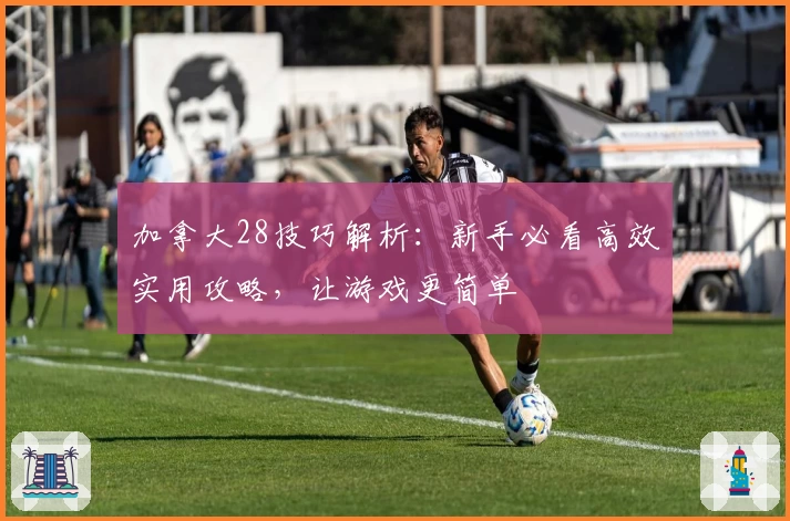 加拿大28技巧解析：新手必看高效实用攻略，让游戏更简单