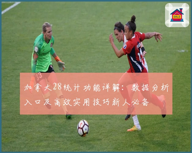 加拿大28统计功能详解：数据分析入口及高效实用技巧新人必备