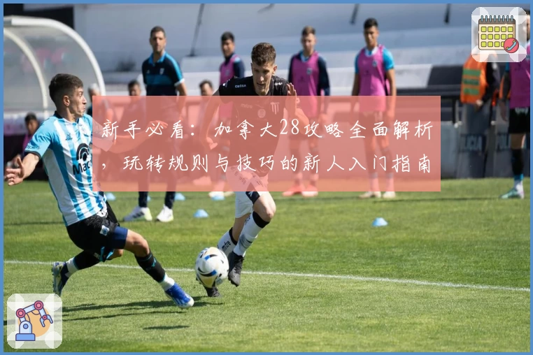 新手必看：加拿大28攻略全面解析，玩转规则与技巧的新人入门指南
