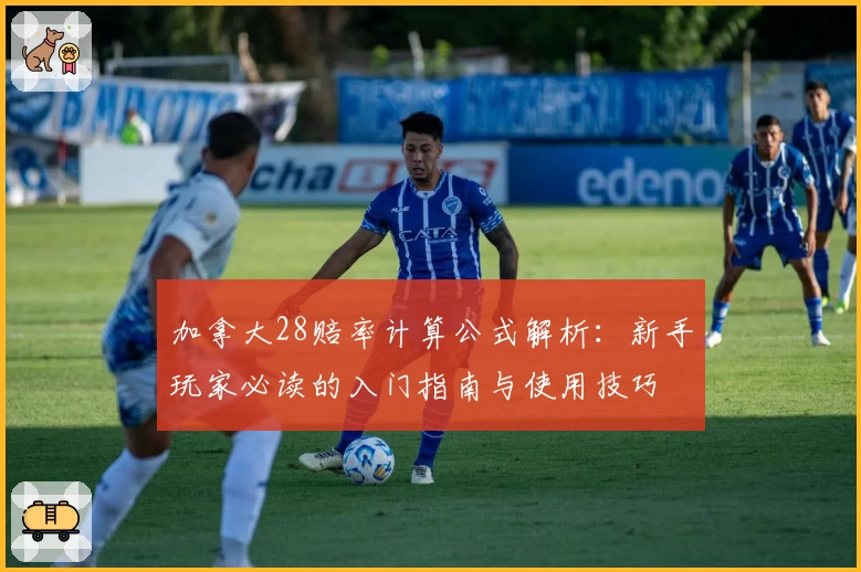 加拿大28赔率计算公式解析：新手玩家必读的入门指南与使用技巧